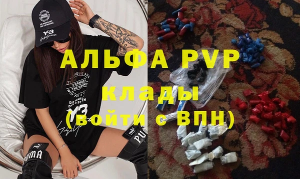 ГАЛЛЮЦИНОГЕННЫЕ ГРИБЫ Белокуриха