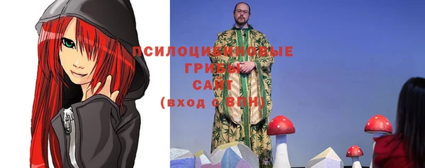 a pvp Богданович