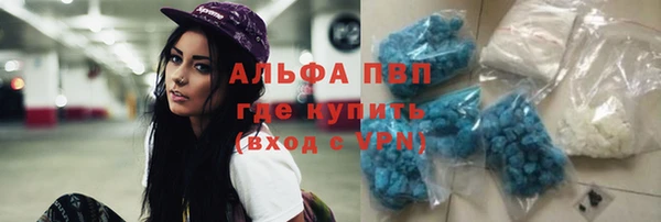 a pvp Богданович