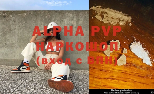 ГАЛЛЮЦИНОГЕННЫЕ ГРИБЫ Белокуриха
